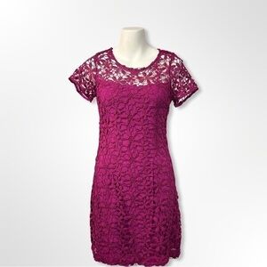 Hollister Purple Lace Dress Size 3